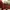 CHRISTIAN LOUBOUTIN Size 42 photo 4