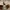 CHRISTIAN LOUBOUTIN Size 43 photo 6