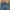 NAVY PRODUCE RIPED JEANS photo 4