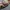 Slingbag Canvas photo 5