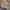 Slingbag Canvas photo 3