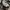 NUDE BONES M 65 TIGER STRIPE  photo 5