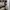 NUDE BONES M 65 TIGER STRIPE  photo 2