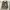 NUDE BONES M 65 TIGER STRIPE  photo 6