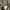 NUDE BONES M 65 TIGER STRIPE  photo 7