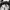 fox racing black and white cap (topi y2k emo grunge hat) photo 4