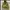 ASYMETRICAL PULLOVER ANORAK  photo 8