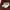 Flatshoes  photo 1