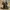 work jacket detroit by dickies not carhartt ffa uniqlo photo 4