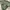 Japanese Brand Vintage Y2K Windbreaker Pria Green Gray