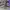NEW BALANCE 990 V3 GREY SNEAKERS , NEW BALANCE V3 GREY , NEW photo 1