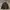 outdoor jacket puffer by uniqlo x white mountaineering photo 1