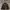 Outdoor Jacket Puffer By Uniqlo X White Mountaineering