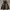 outdoor jacket puffer by uniqlo x white mountaineering photo 2