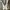 sweater crewneck by adidas x gosha rubchinskiy not nike carh photo 5