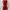 Dress Maroon ALEXALEXA photo 1