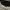Croptpo photo 2