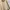 Kemeja Oversized Nude Shirt photo 6