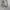 Vintage Flight Jacket Suede photo 3
