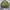 Harrington Olive Inner Silk photo 6
