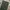 Chino Loose Pants Sateen Unbrand olive photo 4
