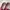 Vans Authentic Chili Red Golden size 10/43 photo 2
