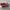 Vans Authentic Chili Red Golden size 10/43 photo 6