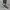 SKECHERS BOUNDER - VERTVILLE CASUALS FOR MEN
SPECIAL BOX photo 3