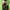 furr jacket rework/costum  photo 6