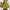 GRL Turtleneck Knit Rib Lidi Crop Top photo 2