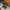 ADIDAS YUNG 96 CHASM MENYALA photo 1