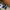 ADIDAS YUNG 96 CHASM MENYALA