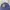 Stussy stitch basic logo skullcap photo 2