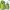 Vest Puffer Green photo 1