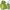 Vest Puffer Green