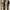 Dr. Martens Casual Boots Wanita khaki photo 3