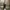 Dr. Martens Casual Boots Wanita khaki photo 8