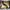 Dr. Martens Casual Boots Wanita khaki photo 5