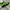 NIKE SHOX photo 4
