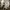 Japanese brand Streetwear Y2K Jeans Pria tan brown photo 3