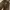 Cargo pants corduroy photo 2