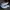Adidas Goletto 5 photo 1