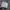 Sushiro Figure Toys photo 3