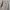 Vintage 1889 Carhartt Carpenter Cellpocket photo 7
