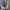 Casual Windbreaker Pria multicolor photo 4