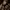 Moncler Down Jacket Bulu Angsa Warna Coklat Pekat  photo 1