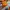 MineCraft MCD original photo 4