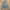 G Star Raw Development Zip Up Sweatershirt Grey photo 4