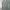 Midi Skirt Stripe Gray Slit photo 1
