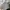 Midi Skirt Stripe Gray Slit photo 7